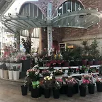 Colon Market Downtown Daire