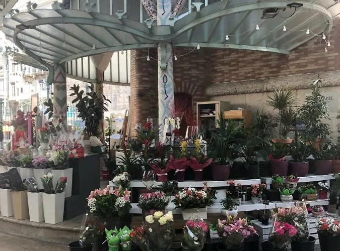 Colon Market Downtown شقة